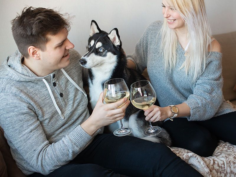 Pāris, kurš izmantoja šīs 1 gada jubilejas datuma idejas, dzerot šampanieti un svinot svētkus kopā ar savu suni.