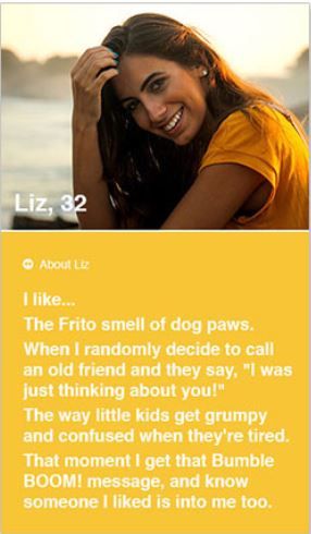 Um exemplo de um perfil de namoro engraçado com a descrição abaixo.