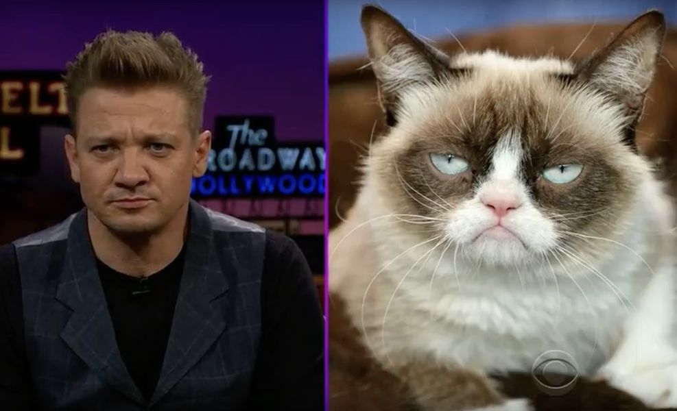 Assista a reação hilária de Jeremy Renner a Elizabeth Olsen dizendo que ele se parece com um gato mal-humorado