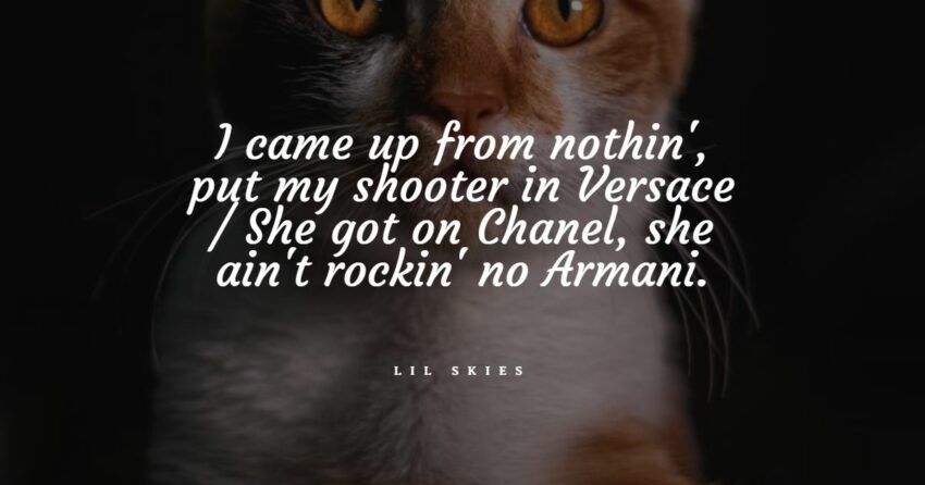 20+ bedste citater fra Lil Skies: Eksklusivt udvalg