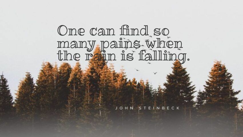 124+ najboljših citatov Johna Steinbecka: ekskluzivni izbor