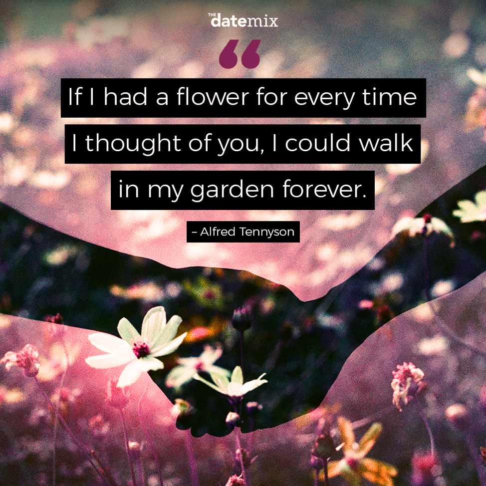 Romantiske citater: Hvis jeg havde en blomst for hver gang jeg tænkte på dig, kunne jeg gå i min have for evigt.