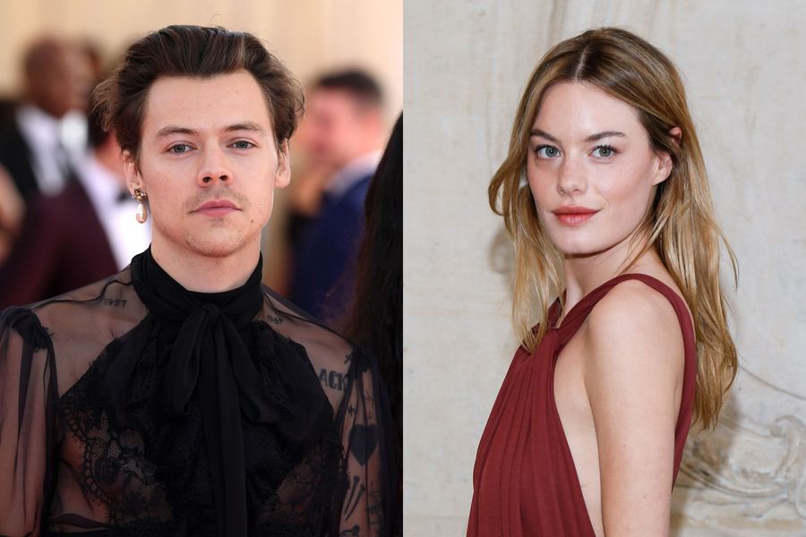 Harry Styles 'single' Cherry 'indeholder voicemail fra ex Camille Rowe