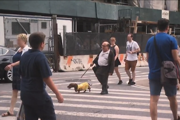 Danny DeVito explica por qué estaba paseando a un perro salchicha vestido con vestido en Manhattan