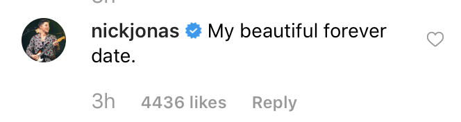 Priyanka Chopra confunde la edad de su esposo Nick Jonas en un dulce mensaje de Instagram