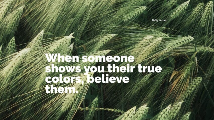 25+ Best True Colours Quotes: Eksklusivt utvalg