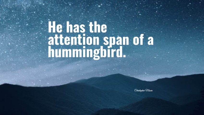 8+ beste Hummingbird-sitater: eksklusivt utvalg
