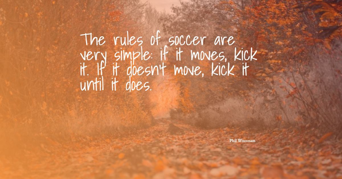 41+ Best Funny Soccer Quotes: Seleção exclusiva