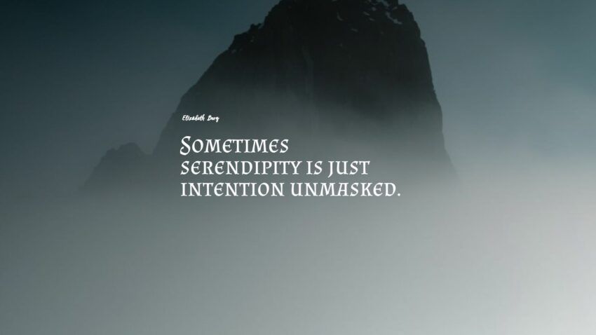 44+ Best Serendipity Quotes: Seleção Exclusiva