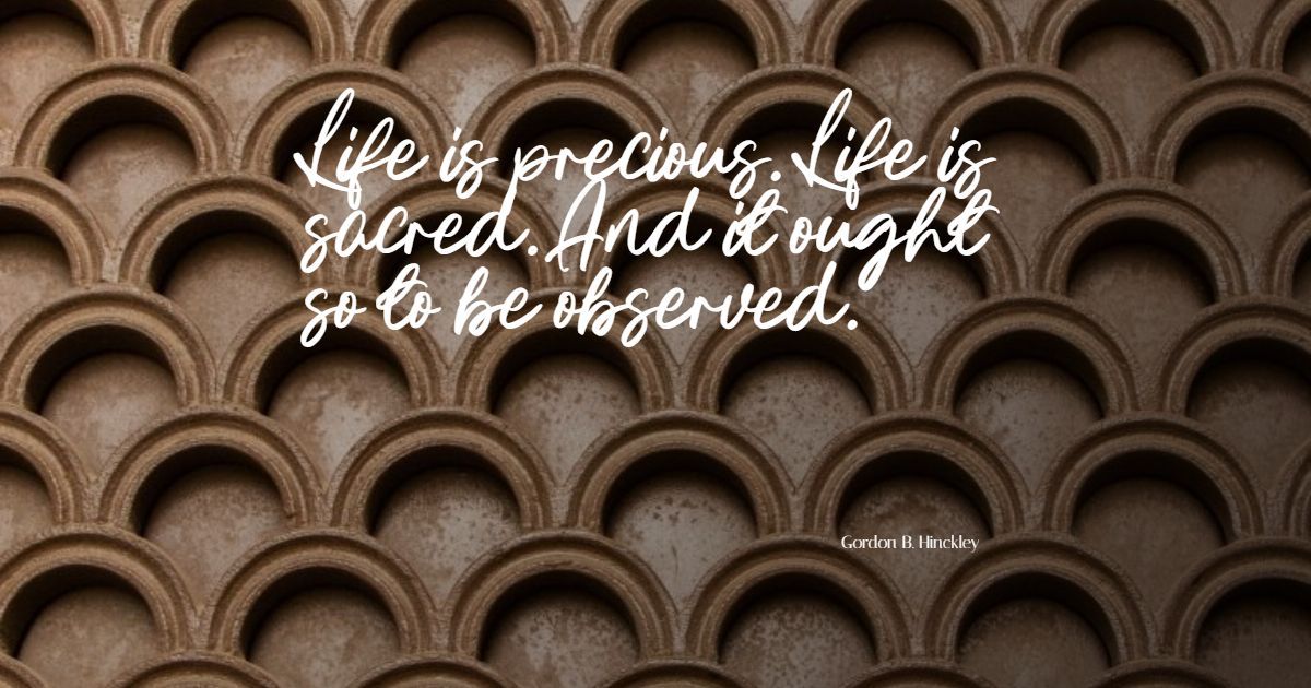 14+ лучших цитат Life is Precious: эксклюзивный выбор