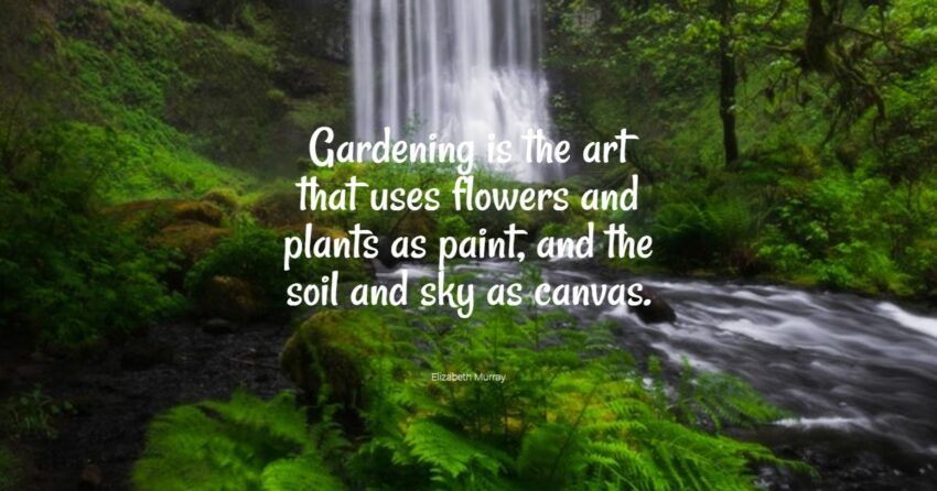 54+ Best Garden Quotes: Exklusive Auswahl
