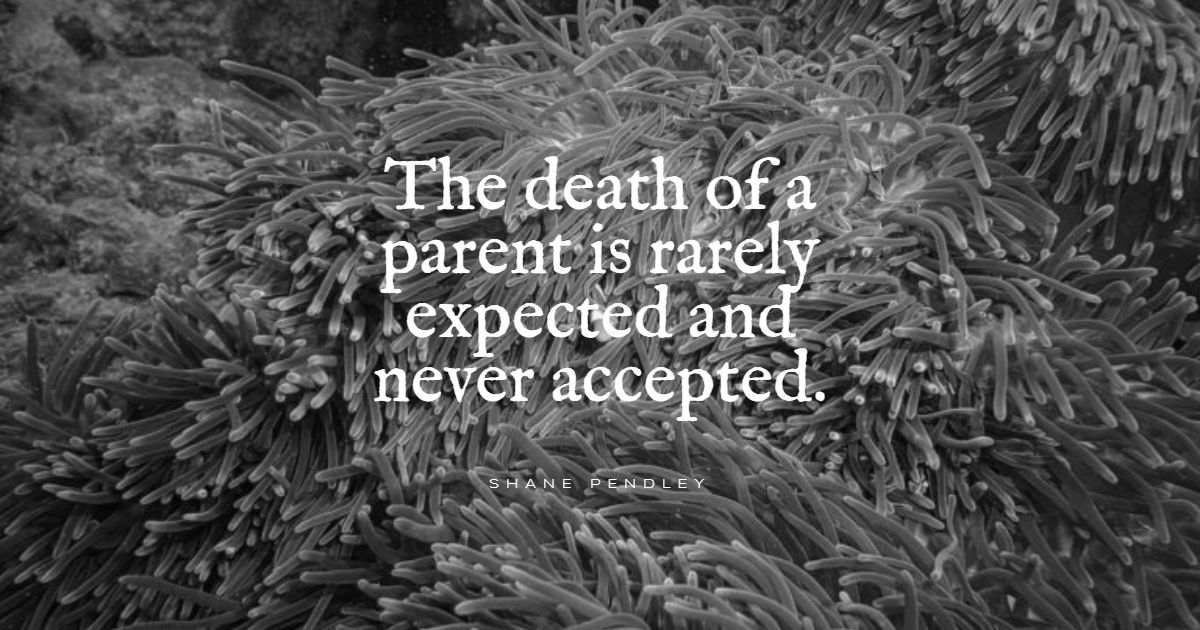 60+ citátů o smrti otce: exkluzivní výběr