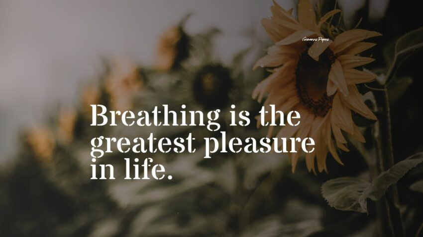 79+ Best Breathe Quotes: Seleção Exclusiva