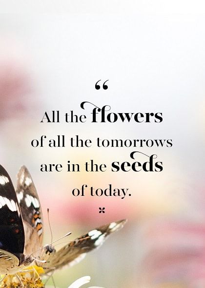 105+ Petikan Musim Bunga EKSKLUSIF untuk Mencerahkan Hari Anda
