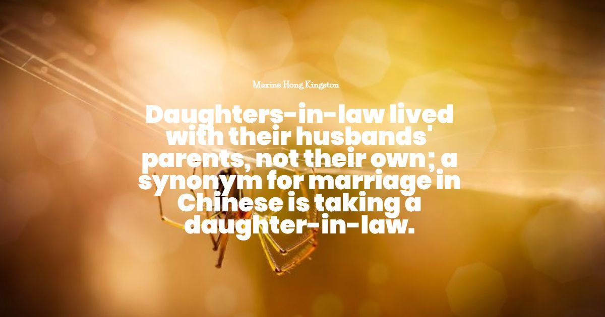 46+ Best Daughter in Law Quotes: Seleção Exclusiva