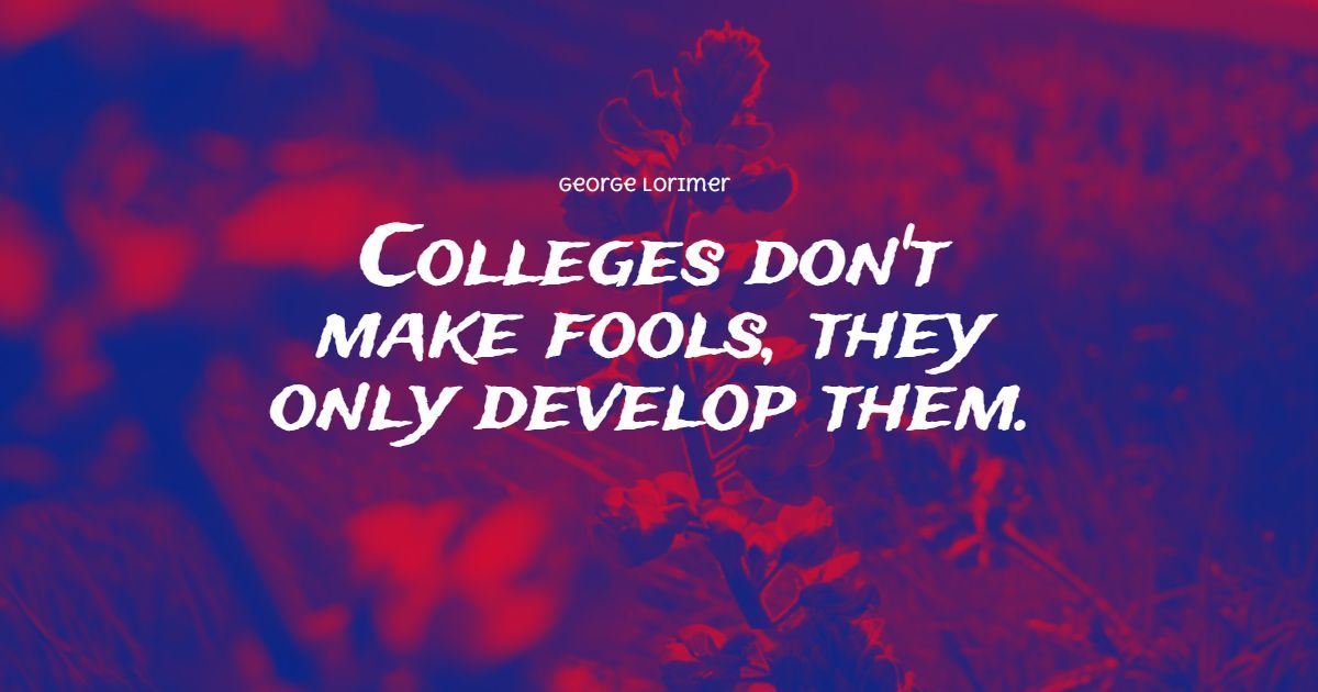 22+ Best College Friends Quotes: Exklusive Auswahl
