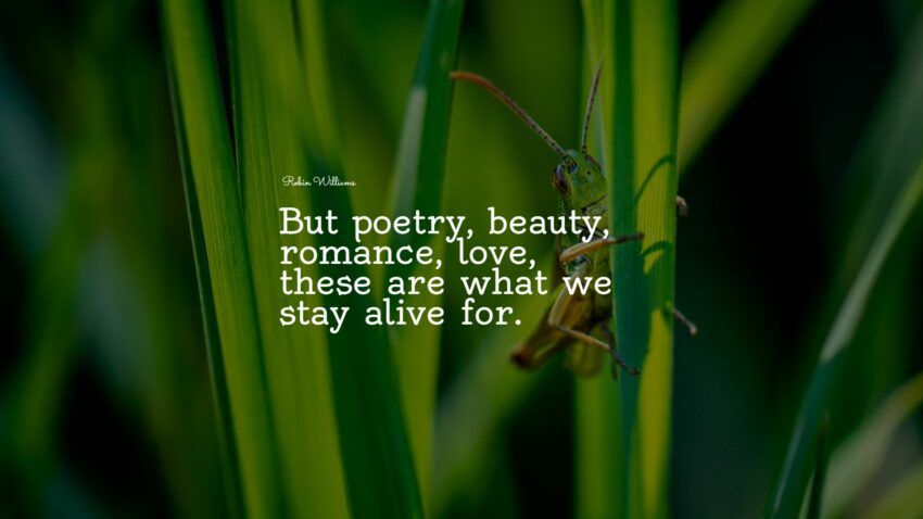 27+ mejores citas de Dead Poets Society: selección exclusiva