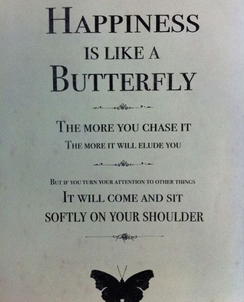 Mais de 137 citações de borboletas exclusivas para uma bela mudança
