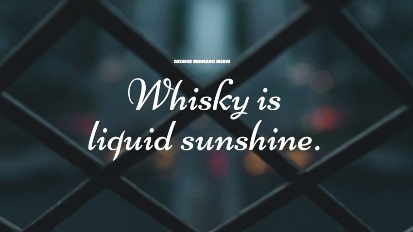 46+ najlepszych cytatów whisky: ekskluzywny wybór