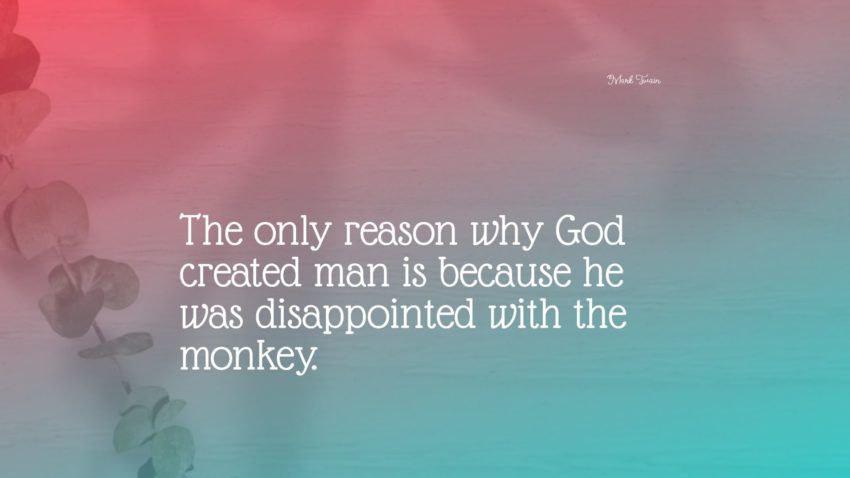 83+ beste monkey Quotes: Exclusive Selection
