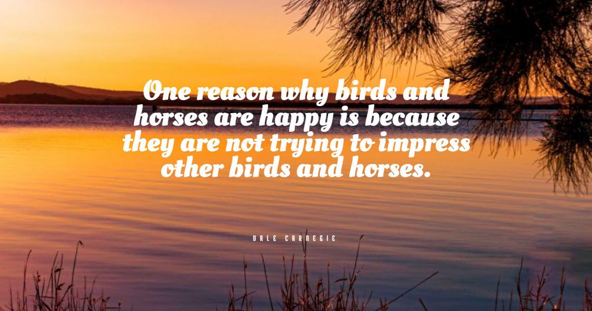Daugiau nei 30 geriausių linksmų arklių citatų: išskirtinis pasirinkimas