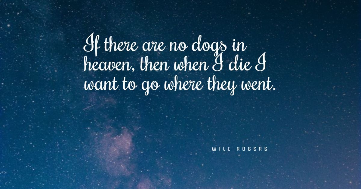 45+ Best Funny Dog Quotes: Seleção exclusiva