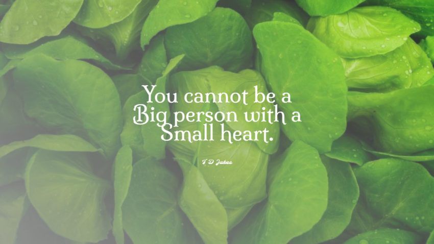 23+ Bedste Big Heart Citater: Eksklusivt udvalg