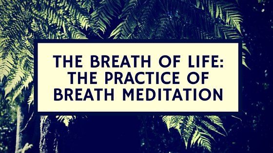 The Breath of Life: The Practice of Breath Meditation For Beginners